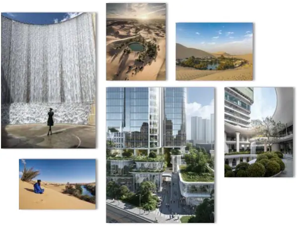 Oasis Complex — image 2